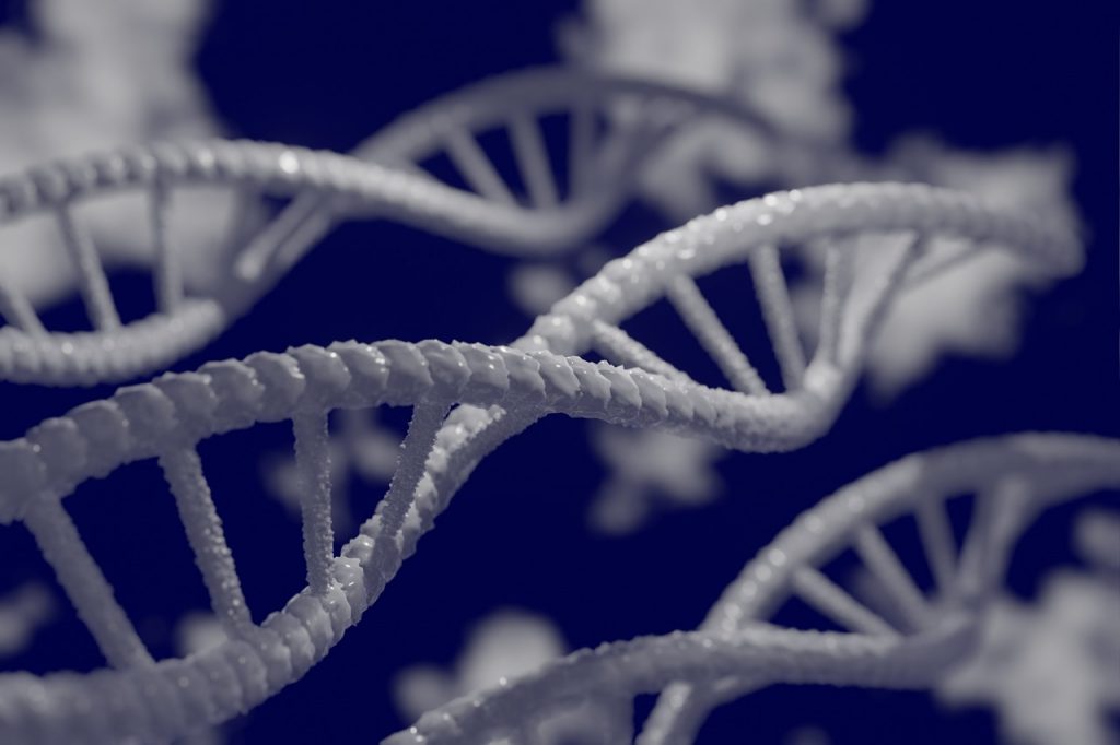 dna, 3d, 4k wallpaper 1920x1080, biology, genetic, research, wallpaper hd, 3d wallpapers, biotechnology, gene, chemistry, laptop wallpaper, medicine, free background, helix, spiral, wallpaper 4k, structure, hd wallpaper, model, microbiology, mac wallpaper, 4k wallpaper, cool backgrounds, beautiful wallpaper, full hd wallpaper, medical, science, technology, free wallpaper, scientific, background, backdrop, genetics, cell, windows wallpaper, desktop backgrounds, scientist, laboratory, microscope, dna, dna, dna, dna, dna, genetics